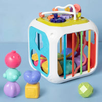 Cubo Attività Evolutivo Montessori Montessori & Giocattoli