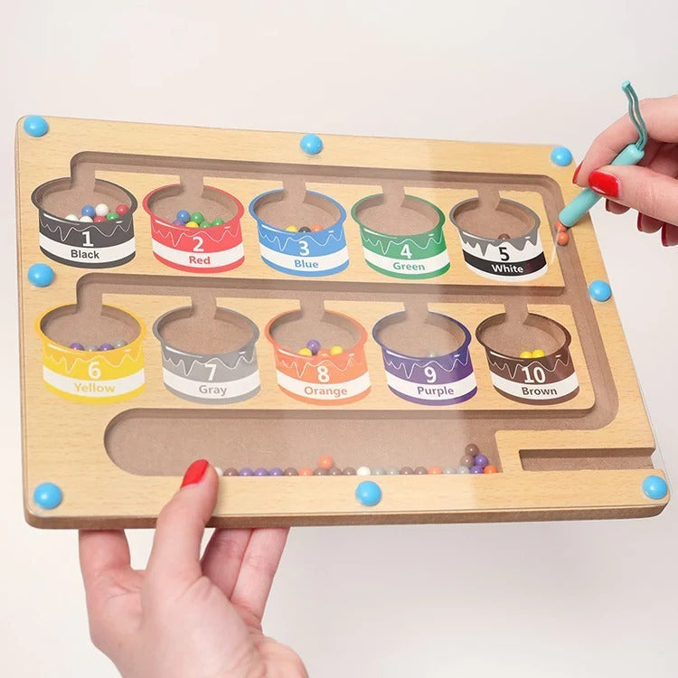 Montessori Magnetic Color Sorting Puzzle L'atelier Montessori