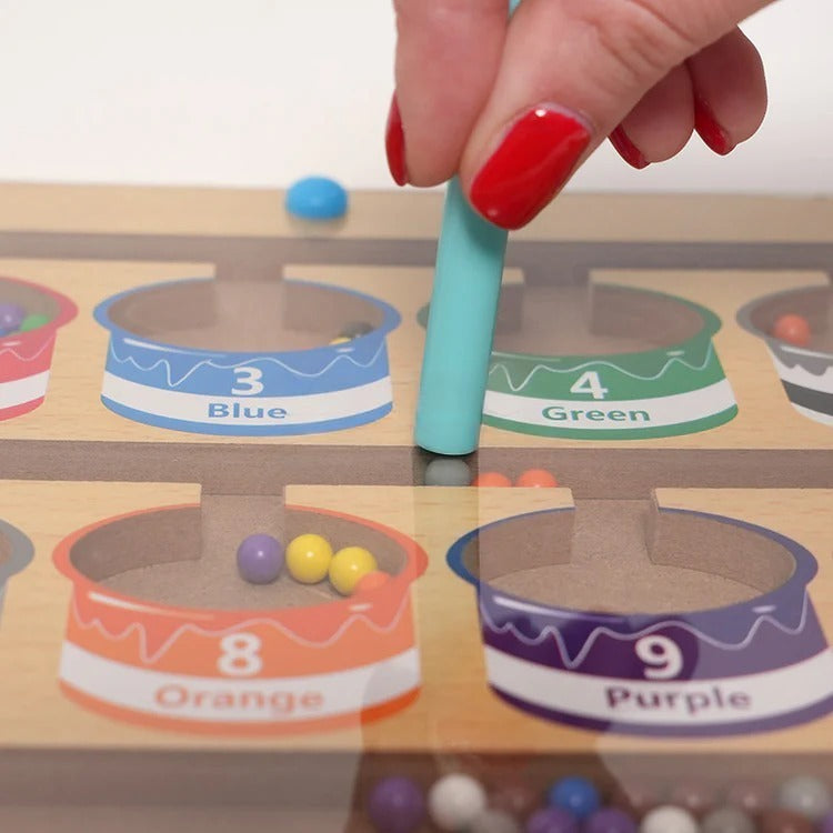 Montessori Magnetic Color Sorting Puzzle L'atelier Montessori