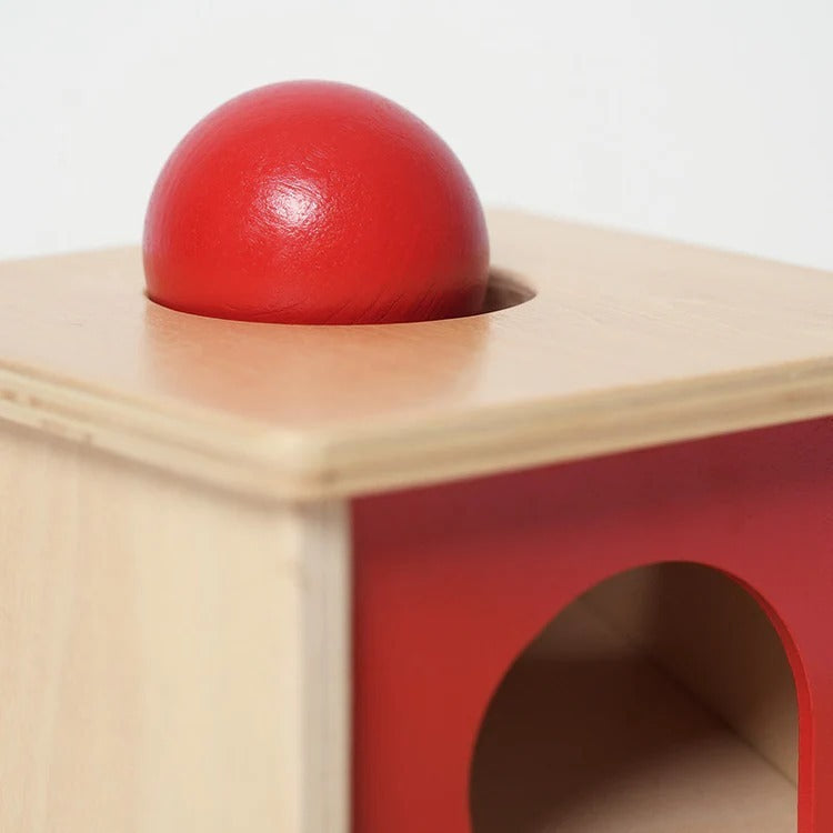 Montessori Object Permanence Box L'atelier Montessori