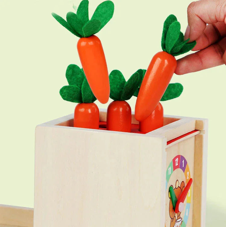 Montessori Shapes and Colors Box with Balls L'atelier Montessori